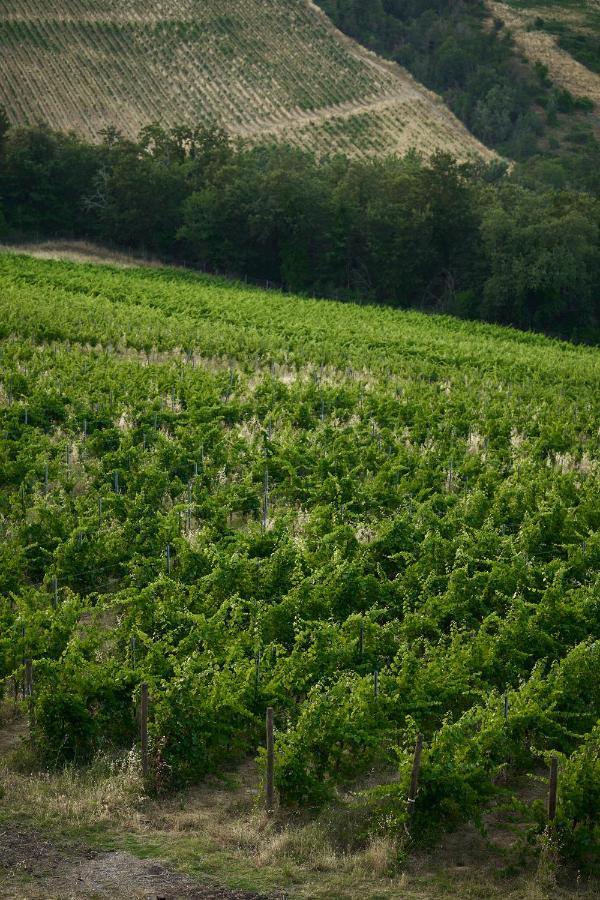Agroturismo Tenuta Di Sticciano *