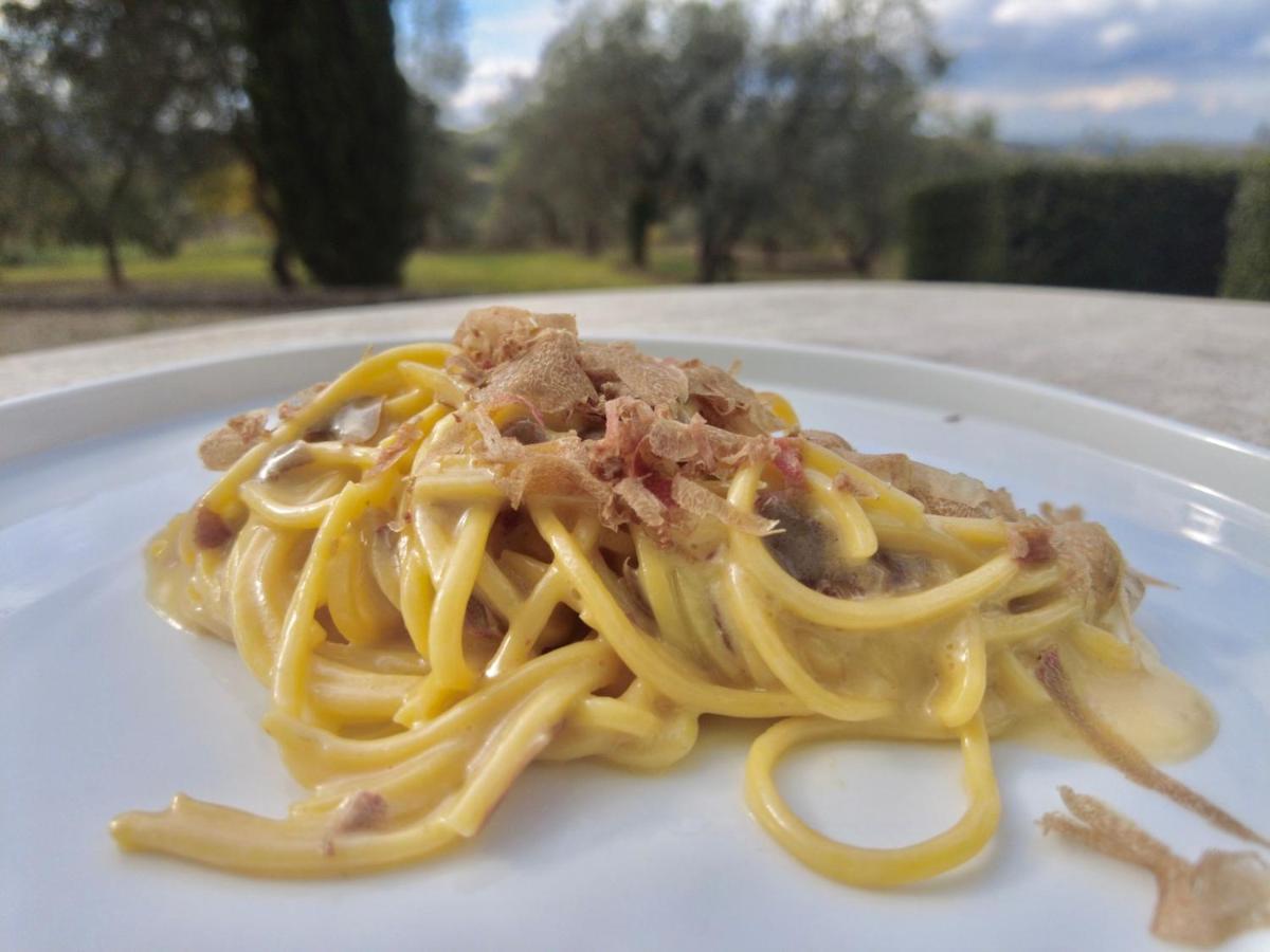 Tenuta Di Sticciano * Certaldo