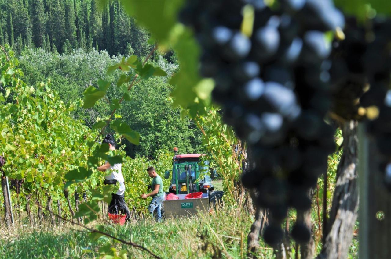 Tenuta Di Sticciano * Certaldo